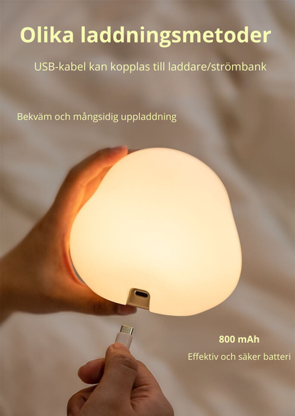 Anka nattlampa